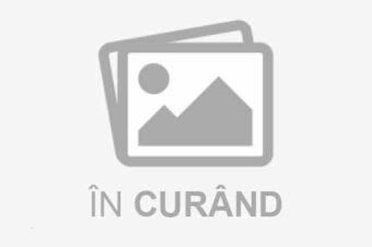 Substituent